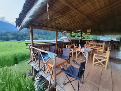 Thatched bamboo terrace with camp chairs at the edge of a green paddy