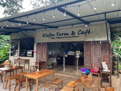Elefin Farm and Cafe painted above an open counter with wooden tables outside