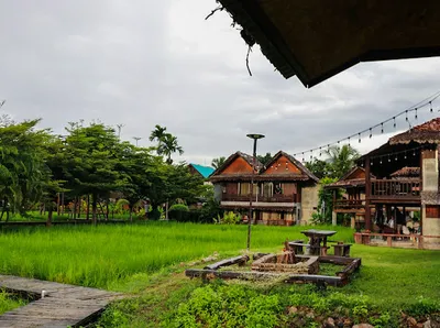 Teak guest houses and festoon lights at the edge of a bright green rice paddy