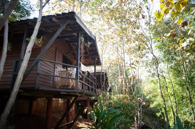 Timber cabin on stilts with a shaded veranda among trees on a slope