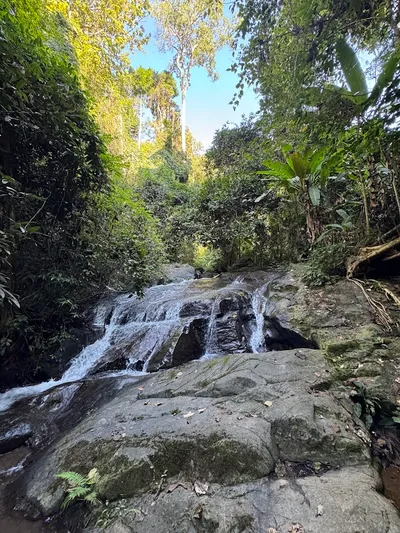 Stream running over broad rock slabs in tall forest