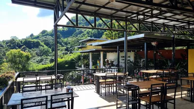 Steel-framed hillside terrace of timber tables looking over a forested valley