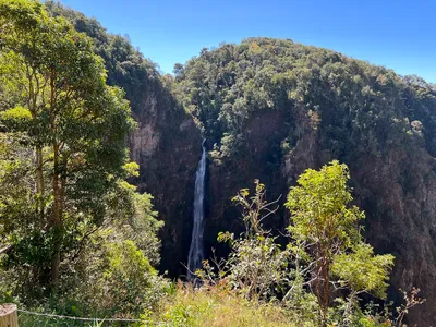 Thin waterfall dropping the full height of a forested cliff
