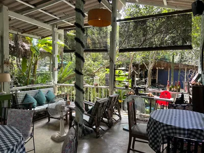 Shaded veranda with checked tablecloths, cane chairs and bamboo blinds among trees