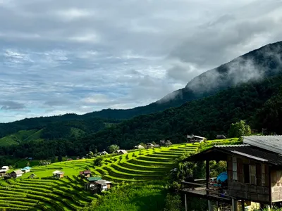 Terraced rice fields stepping down the valley below a mist-covered ridge, with a stilt house at the edge