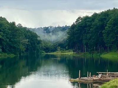 Pine-fringed reservoir with mist over the far shore and bamboo rafts at the bank