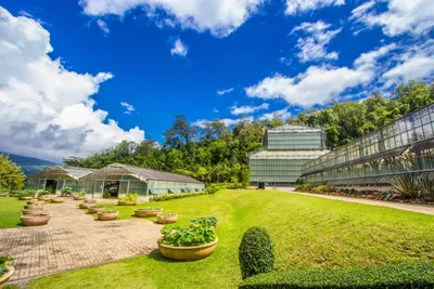 Glasshouses and planted urns on a lawn below forested hills