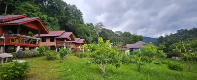 Red-roofed timber cabins on stilts along a grassy slope below forested hills