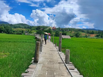 Bamboo walkway across green rice paddy toward a hilltop temple