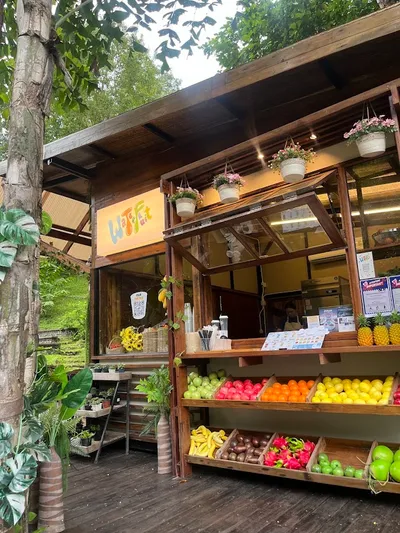 Timber counter with racks of fruit and hanging flower baskets